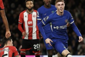 帕尔默切尔西资料