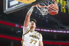 九游官方网站_辽宁男篮CBA战胜广东宏远张镇麟暴扣得分的简单介绍