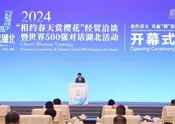 强强对战是什么意思